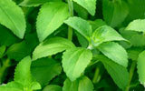 Stevia Leaf Extract