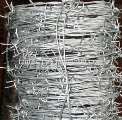 Galvanized barbed wire