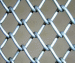 Galvanized chain link fence