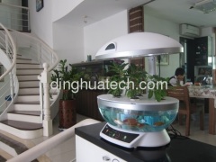 Smart Garden can fish in the fish tank a variety of plants can be grown. can be used as a table lamp