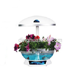 New office indoor potted flowers plant organic vegetables miniascape flower basket