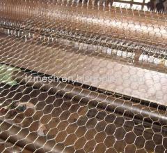 Stainless steel hexagonal wire mesh fence