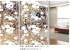 titanium mirror glass TMSJ-013