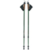 Nordic walking sticks passed Climbing Alpenstock