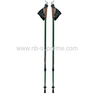 Nordic walking sticks