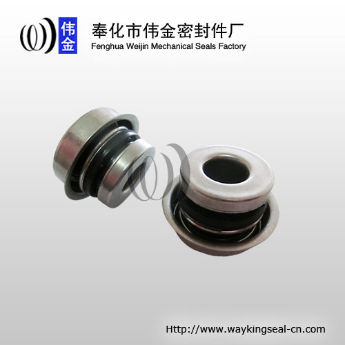 automobile engine mechanical seal