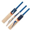 CA PLUS 15000 CRICKET BAT LATEST MODEL