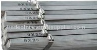 Polished Stainless Steel Flat Bar 