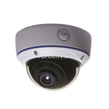 1/3WDR Pixim Seawolf Sensor Dome Camera