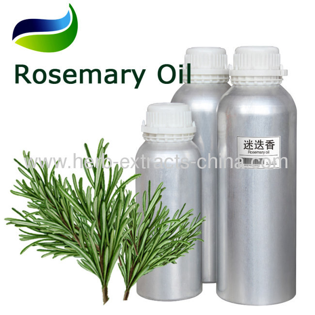 Analgesic Antidepressant Astringent Healing Functions of Rosemary Oil