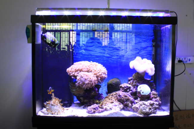 2012 Hot sale 90cm 75wCREE LED Aquarium Lighting without fans best for reef corals