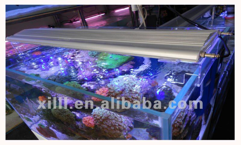 Mini- squre CREE 40cm Aquarium LED Lighting best for hard corals