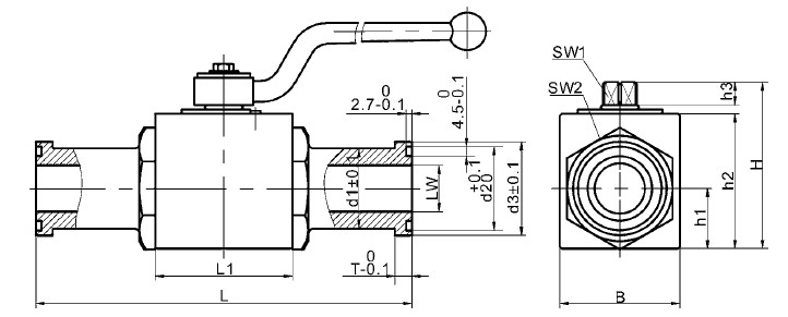 BKH-SAEFS flange ball valves