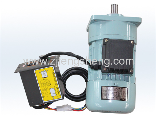 120W Tea Machine Speed Gear Reduction Motor 