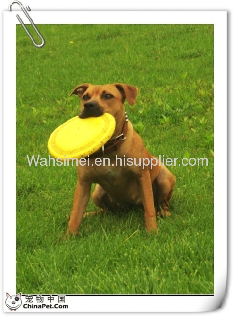 Promotional silicone flying discs for dogs