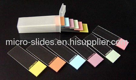 Poly-L-Lysined Positive Charged Adhesion Slides