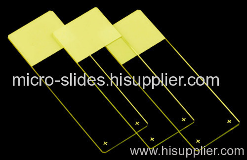 Poly-L-Lysined Positive Charged Adhesion Slides