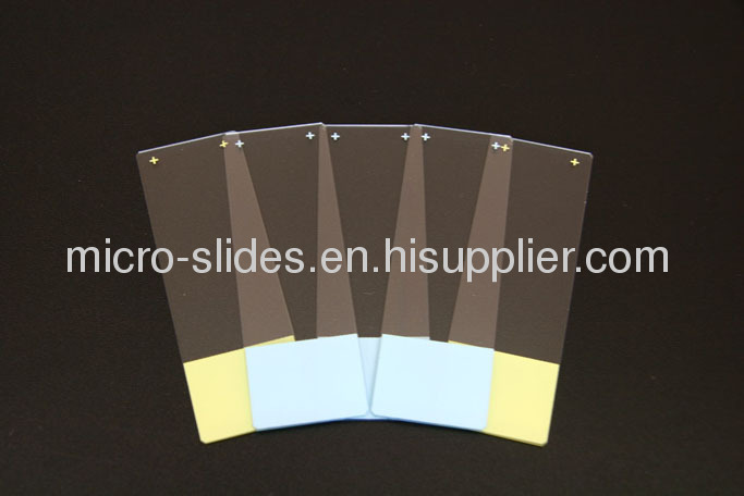 Silanized Positive Charged Adhesion Microscope Slides