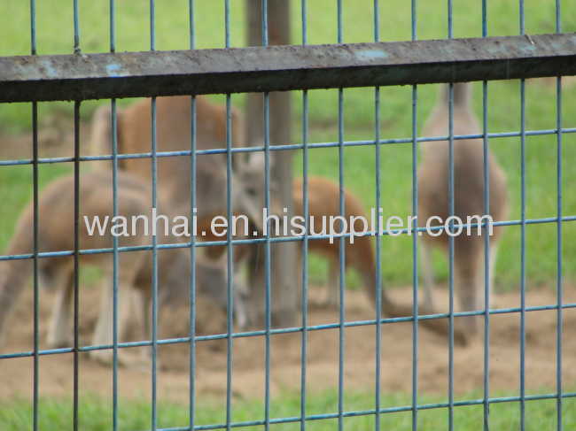 animal defence wire mesh fence