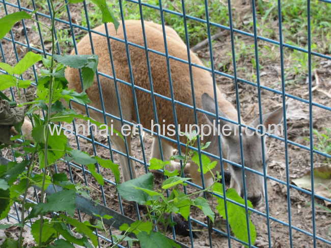 WIRE MESH ZOO FENCE