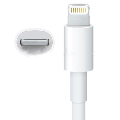 1:1 Seiko Edition Lightning 8 Pin USB Sync Data / Charging Cable for iPhone 5, iPad mini, iTouch 5, Length: 1m 