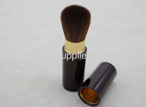 Cosmetic Retractable Brush