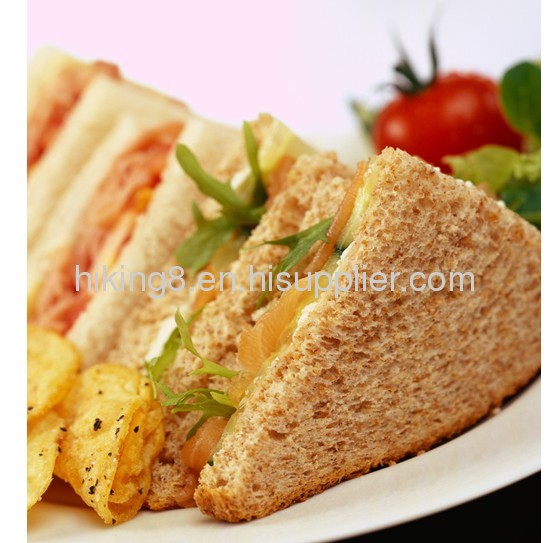 Sandwich maker waffle maker roti maker