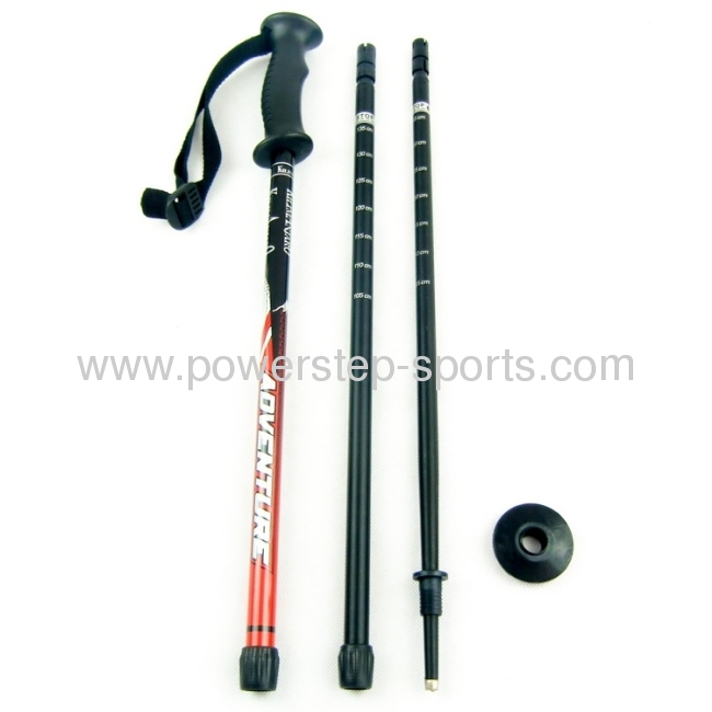 Profession 100% carbon fiber ski pole and nordic walking pole