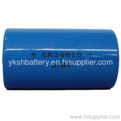 ER34615-19,000mAh