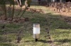 Staninless steel solar lawn lamps