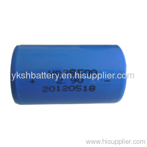 WR38500-8000mAh