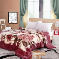 sell soft raschel Blanket