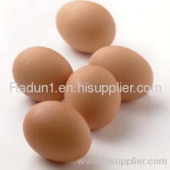 Poultry Chicken Eggs