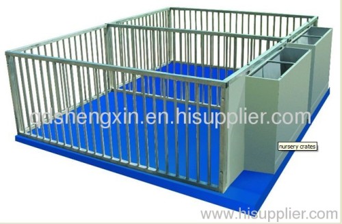 Gal. Pig Nursery Crate