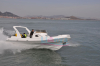 Liya boat,rib boat 8.3m semi-rigid boat--with CE