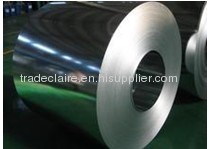 hot rolled elctro galvanized steel plate