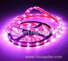 led strip light 3528 flexible strip led rgb 5050smd