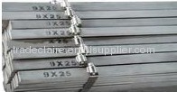 Bright Stainless Steel Flat Bar