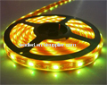 LED SMD5050 flexible strips