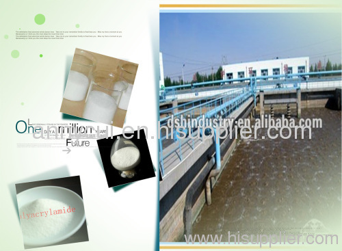 white powder polymer - cationic polyacrylamide flocculant of chemicals for sewage treatment plants