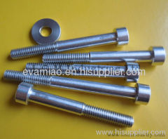 Aluminum Screw