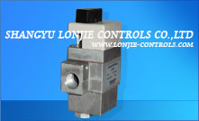 combination gas controls valve