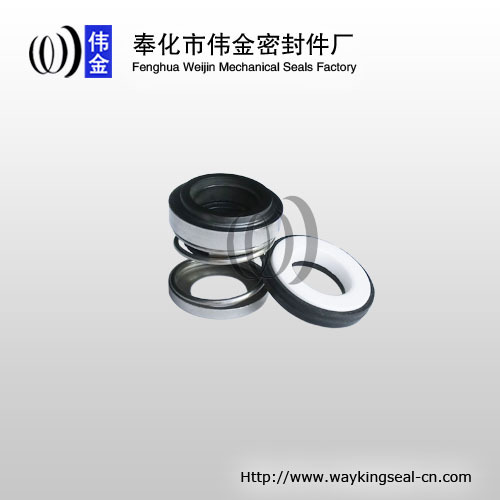 submersible pump mechanical seal