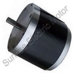 PMDC Motor 101ZYT