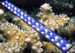 Aquarium Led Lights