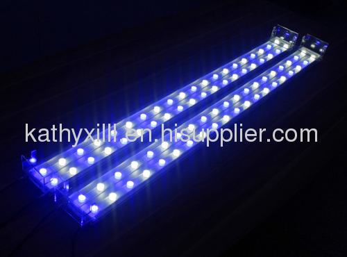 led aquariums lighting