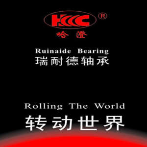 Wuxi Ruinaide Bearing Co; Ltd