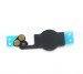 iPhone 5 Home Button Flex Cable