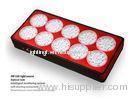 150x3w 6000Lumens Swivel Modules Led Grow Lights, Indoor Gardening Led Light