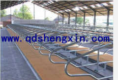 High Quantity Cattle Free Stall
